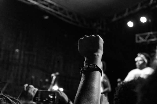 A raised fist in black and white colour. 
