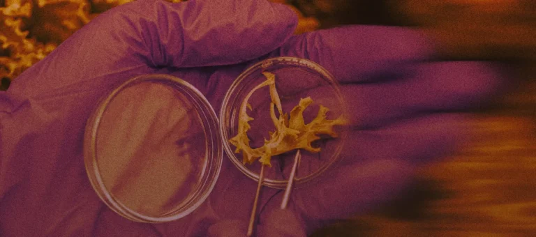 topikos-komvos-kainotomias-kykliki-agrotiki-paragogi