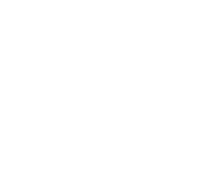 ied-logo-white